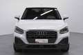 Audi Q2 Q2 2.0 TDI Stronic Business Plus Bianco - thumbnail 2