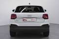 Audi Q2 Q2 2.0 TDI Stronic Business Plus Bianco - thumbnail 4
