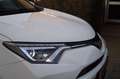 Toyota RAV 4 2.5 Hybrid AWD Energy Plus Dynamic Autom Navi Came Wit - thumbnail 23