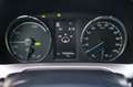 Toyota RAV 4 2.5 Hybrid AWD Energy Plus Dynamic Autom Navi Came Wit - thumbnail 24