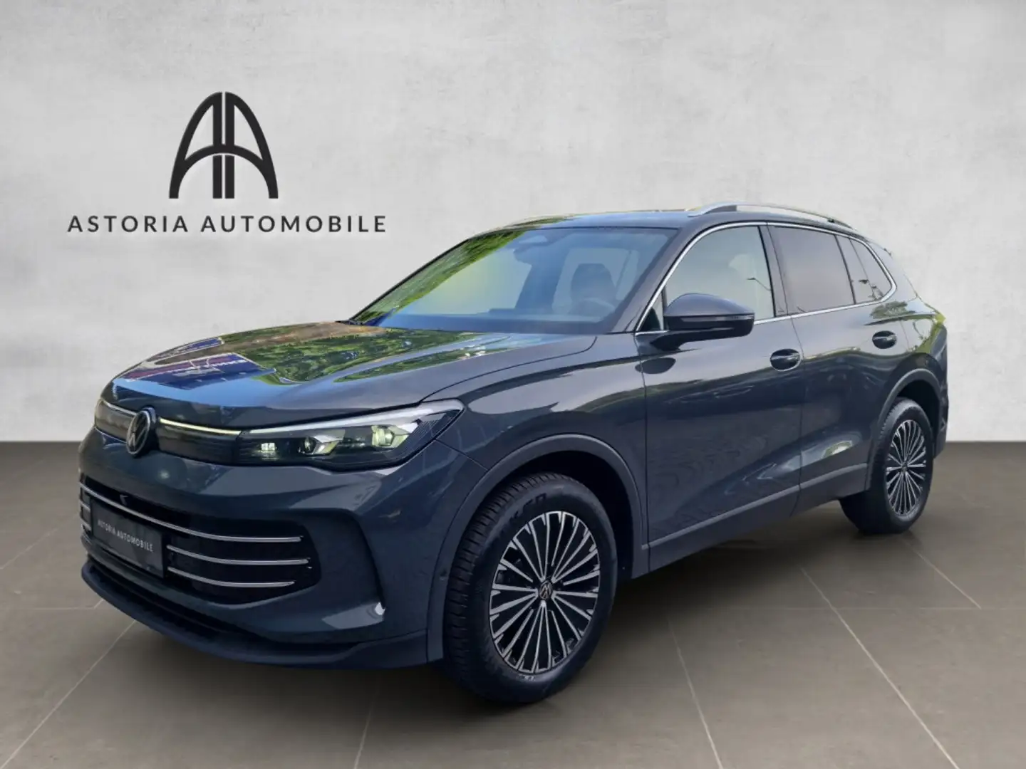 Volkswagen Tiguan 4Motion Elegance MatrixLED 360°IDA 18AHK Grau - 1