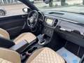 Volkswagen Beetle Cabriolet Exclusive Sport/DSG/Leder/Xenon Schwarz - thumbnail 21
