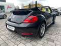 Volkswagen Beetle Cabriolet Exclusive Sport/DSG/Leder/Xenon Schwarz - thumbnail 8
