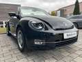 Volkswagen Beetle Cabriolet Exclusive Sport/DSG/Leder/Xenon Schwarz - thumbnail 5