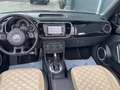 Volkswagen Beetle Cabriolet Exclusive Sport/DSG/Leder/Xenon Schwarz - thumbnail 18