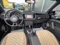 Volkswagen Beetle Cabriolet Exclusive Sport/DSG/Leder/Xenon Schwarz - thumbnail 17