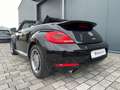 Volkswagen Beetle Cabriolet Exclusive Sport/DSG/Leder/Xenon Schwarz - thumbnail 6