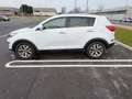 Kia Sportage Sportage 1.6 GDI 2WD Active Bianco - thumbnail 3
