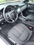 Honda Civic 1.0 i-VTEC Elegance MY21 Blanc - thumbnail 5