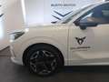 CUPRA Terramar 1.5 Hybrid DSG Weiß - thumbnail 7
