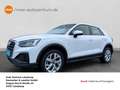Audi Q2 30 1.0 TFSI Alu LED Navi Sitzh. PDC Weiß - thumbnail 1