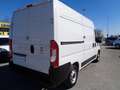 Fiat Ducato 2.3MJT 140cv PM-TM Weiß - thumbnail 6
