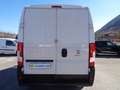 Fiat Ducato 2.3MJT 140cv PM-TM Weiß - thumbnail 12