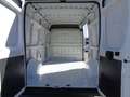 Fiat Ducato 2.3MJT 140cv PM-TM Weiß - thumbnail 14