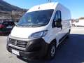 Fiat Ducato 2.3MJT 140cv PM-TM Weiß - thumbnail 3