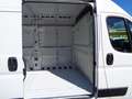 Fiat Ducato 2.3MJT 140cv PM-TM Weiß - thumbnail 13