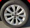 Renault Clio Clio Intens TCe 100 Intens Rot - thumbnail 9