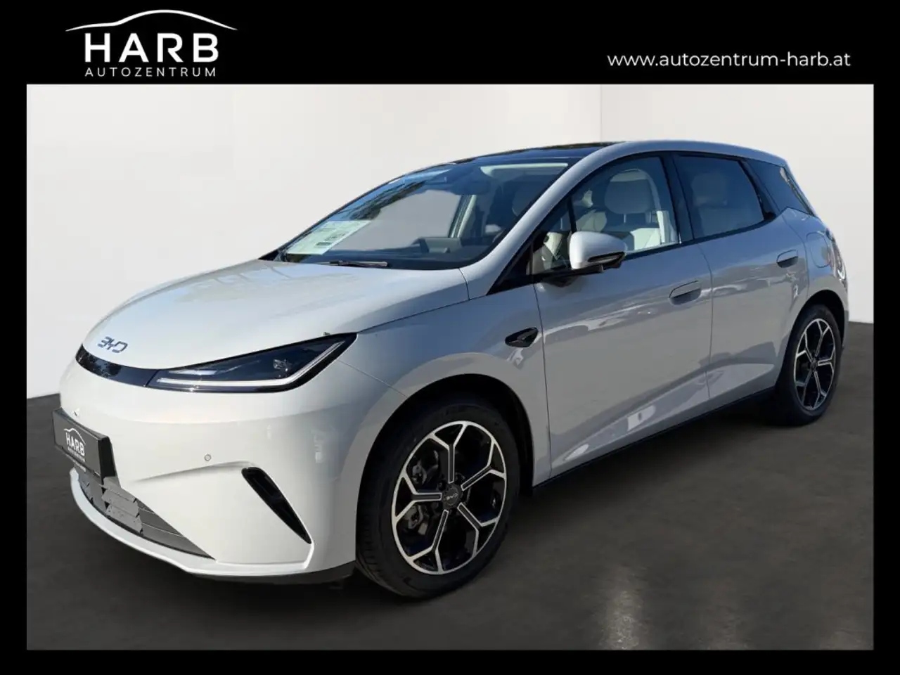 BYD Dolphin G