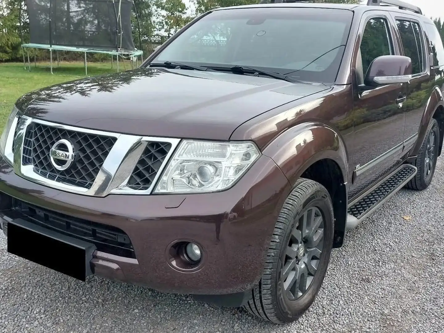 Nissan Pathfinder Pathfinder 3.0 dCi Aut. LE Brun - 2