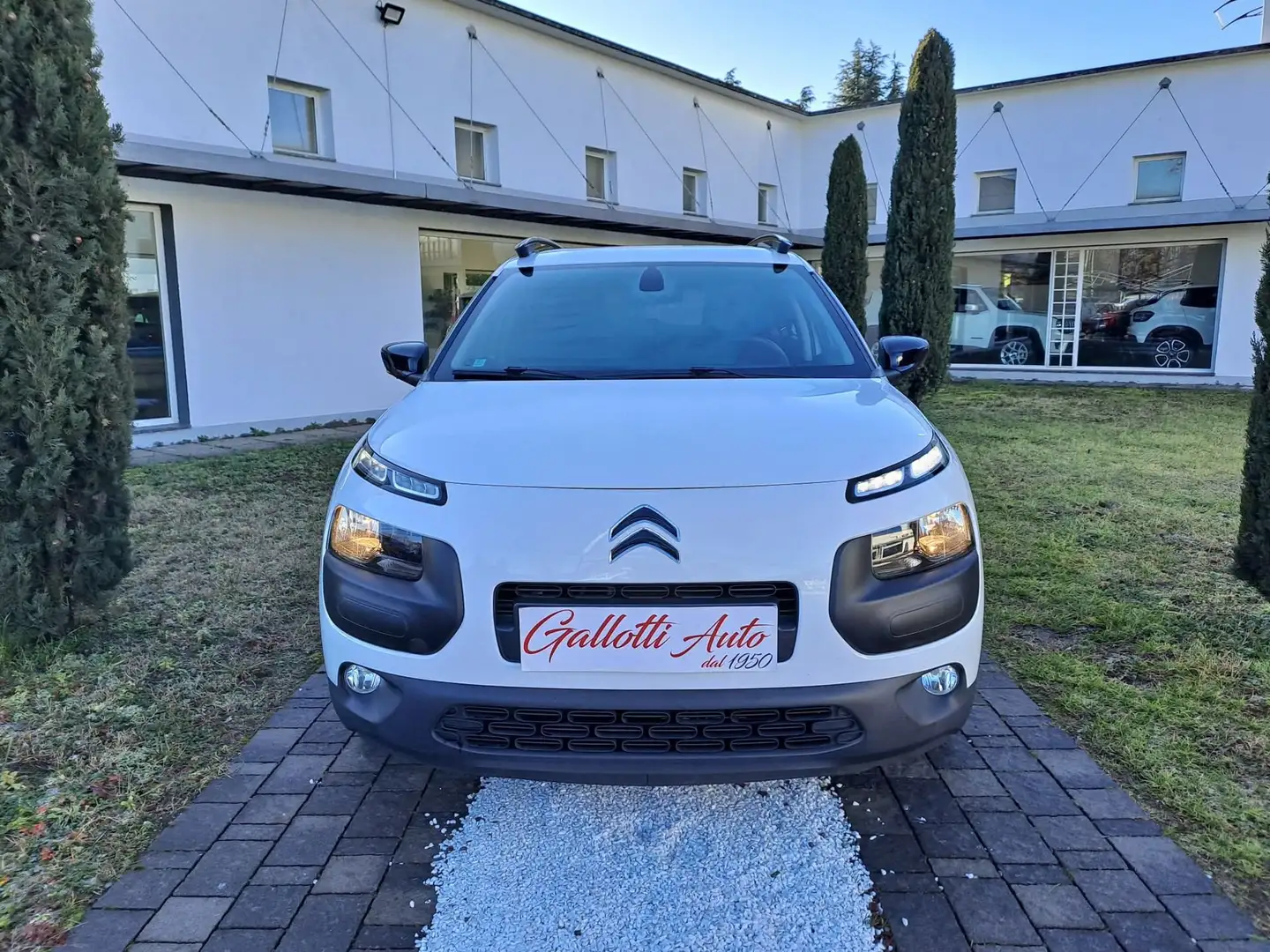 Citroen C4 Cactus 1.2 PureTech 82 Shine-NEOPATENTATI Bianco - 2