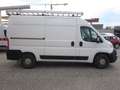 Citroen Jumper L2H2 Radstand 3450 Weiß - thumbnail 6