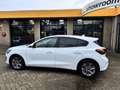 Ford Focus 1.0 EcoBoost Hybrid Titanium Climate Control Camer Weiß - thumbnail 19