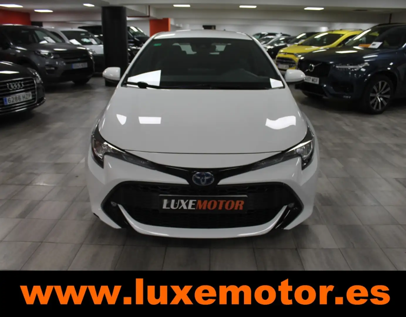 Toyota Corolla 125H Active Tech Wit - 2
