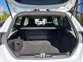 Ford Fiesta 1.1 Trend | Export | 2-Seater/2-Pers./Grijs Kent. Weiß - thumbnail 3