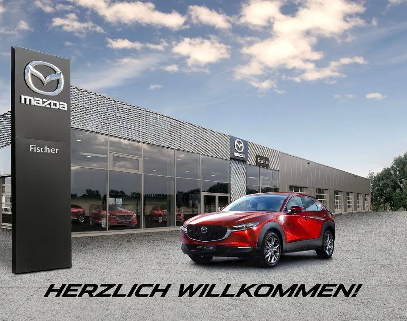 Mazda CX-3 2.0 (121PS) Autom. Selection DuK-P. Tec-P. Grau - 2