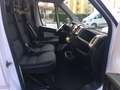 Fiat Ducato DUCATO 30 2.3JTDM 120cv L1H1 FURGONE PREZZO + IVA Blanc - thumbnail 8