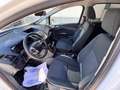 Ford C-Max 1.6TDCi Titanium 115 Weiß - thumbnail 6
