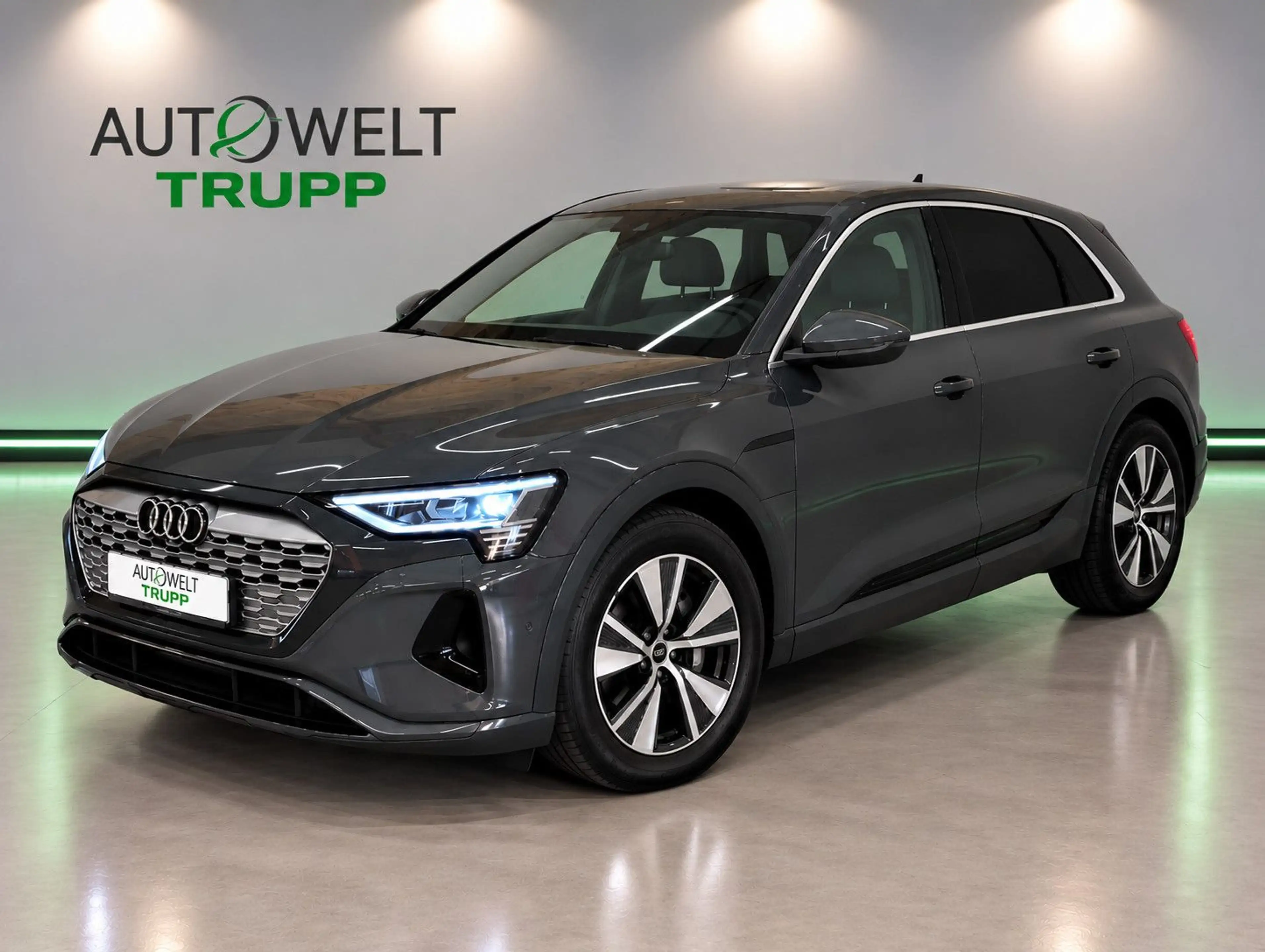 Audi Q8 e-tron quattro SOH100%/AHK/SHZ/R-KAM/NAVI/LED