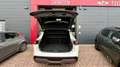 Nissan Qashqai 1.3 mhev  2WD 158CV xtronic Tekna Bianco - thumbnail 14