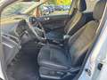 Ford EcoSport ST-Line 2012.75 LED Klimaautom DAB Ambientebeleuch Blanc - thumbnail 9
