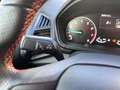 Ford EcoSport ST-Line 2012.75 LED Klimaautom DAB Ambientebeleuch Blanc - thumbnail 15