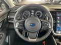 Subaru OUTBACK Outback Platinum Blue - thumbnail 19