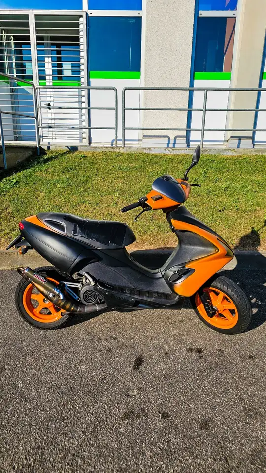 Benelli 491