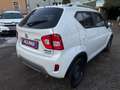 Suzuki Ignis 1.2 Dualjet Hybrid ALLGRIP shine,* Allrad, LED,..* Weiß - thumbnail 7