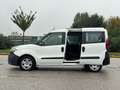 Fiat Doblo AUTOCARRO 5 POSTI N1 1.3-95CV Euro 6 Blanc - thumbnail 9