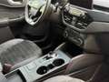 Ford Kuga Hybrid ST-Line X AWD AHK Head-Up Rouge - thumbnail 16