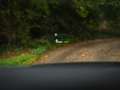 Land Rover Range Rover Sport 3.0 P460e Dynamic SE PHEV | British Racing Green | Groen - thumbnail 28
