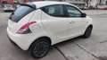 Lancia Ypsilon Ypsilon 1.0 FireFly 5 porte S&S Hybrid Oro Weiß - thumbnail 6