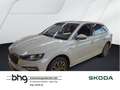 Skoda Scala Selection 1,0 TSI  7-G-Autom. Grau - thumbnail 1
