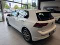 Volkswagen Golf Life Weiß - thumbnail 10
