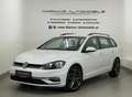 Volkswagen Golf Variant Rabbit 1,6 TDI ACC - AHK - TEMPOMAT Weiß - thumbnail 1