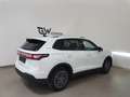 Volkswagen Tiguan 2.0 TDI 110 kW Goal MJ 2026 LED Plus ACC AHK 360 Weiß - thumbnail 9