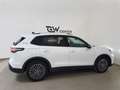 Volkswagen Tiguan 2.0 TDI 110 kW Goal MJ 2026 LED Plus ACC AHK 360 Weiß - thumbnail 10