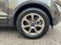 Ford EcoSport 1.5 ecoblue Titanium s&s 100cv my19 Grigio - thumbnail 9