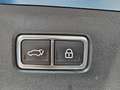 Kia Sorento 1.6 TGI 2WD HEV Pace 7pl. (169kW) Bleu - thumbnail 14