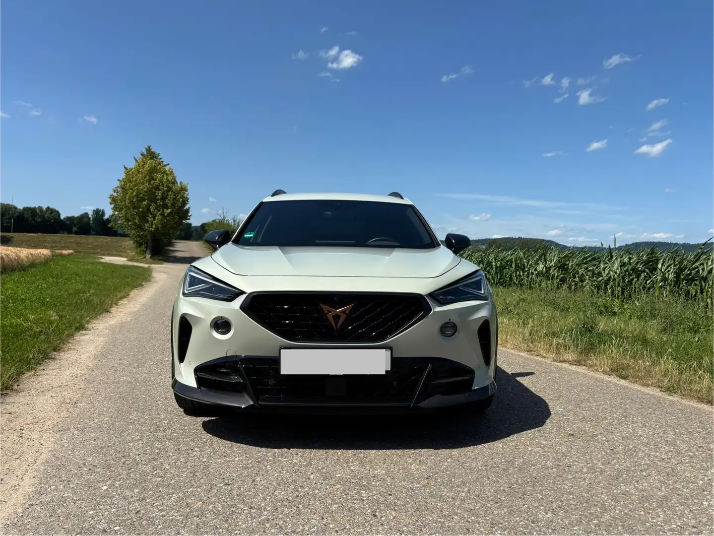 CUPRA Formentor VZ5 4Drive Grau - 2
